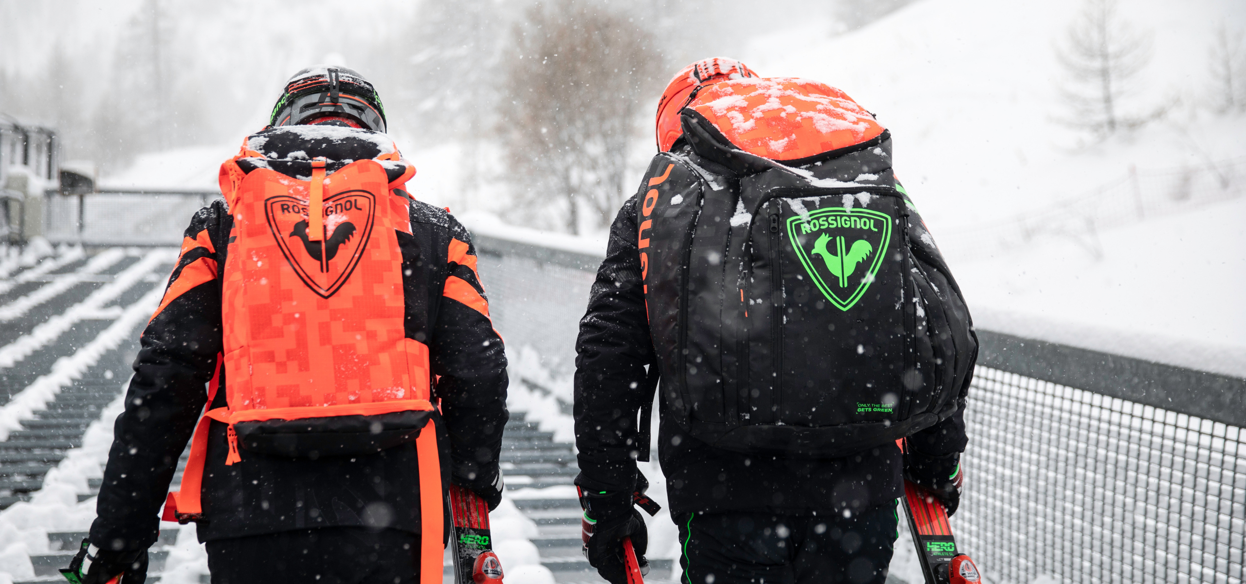 Snow - Winter Luggage