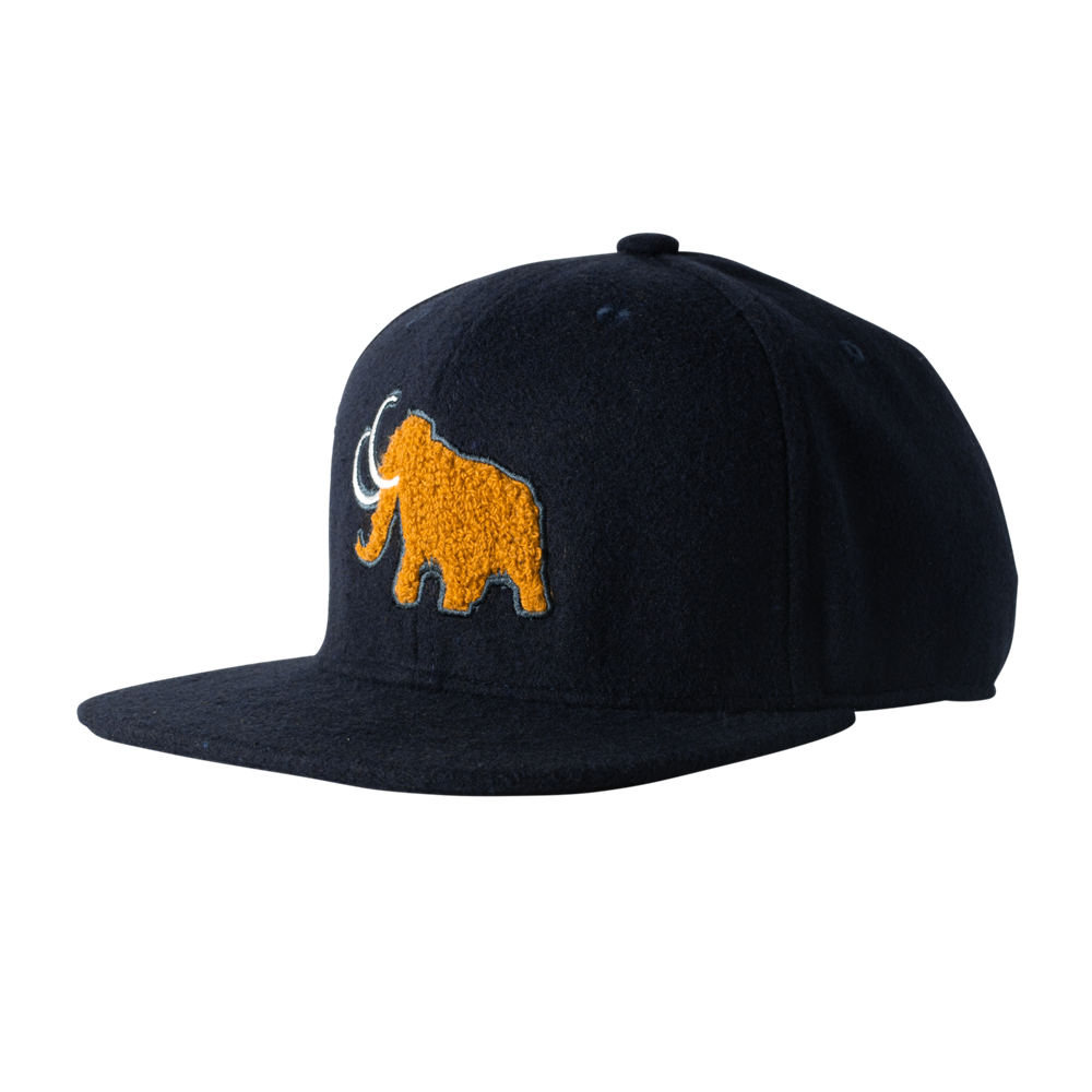 ARCTIC CAP