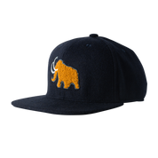 ARCTIC CAP