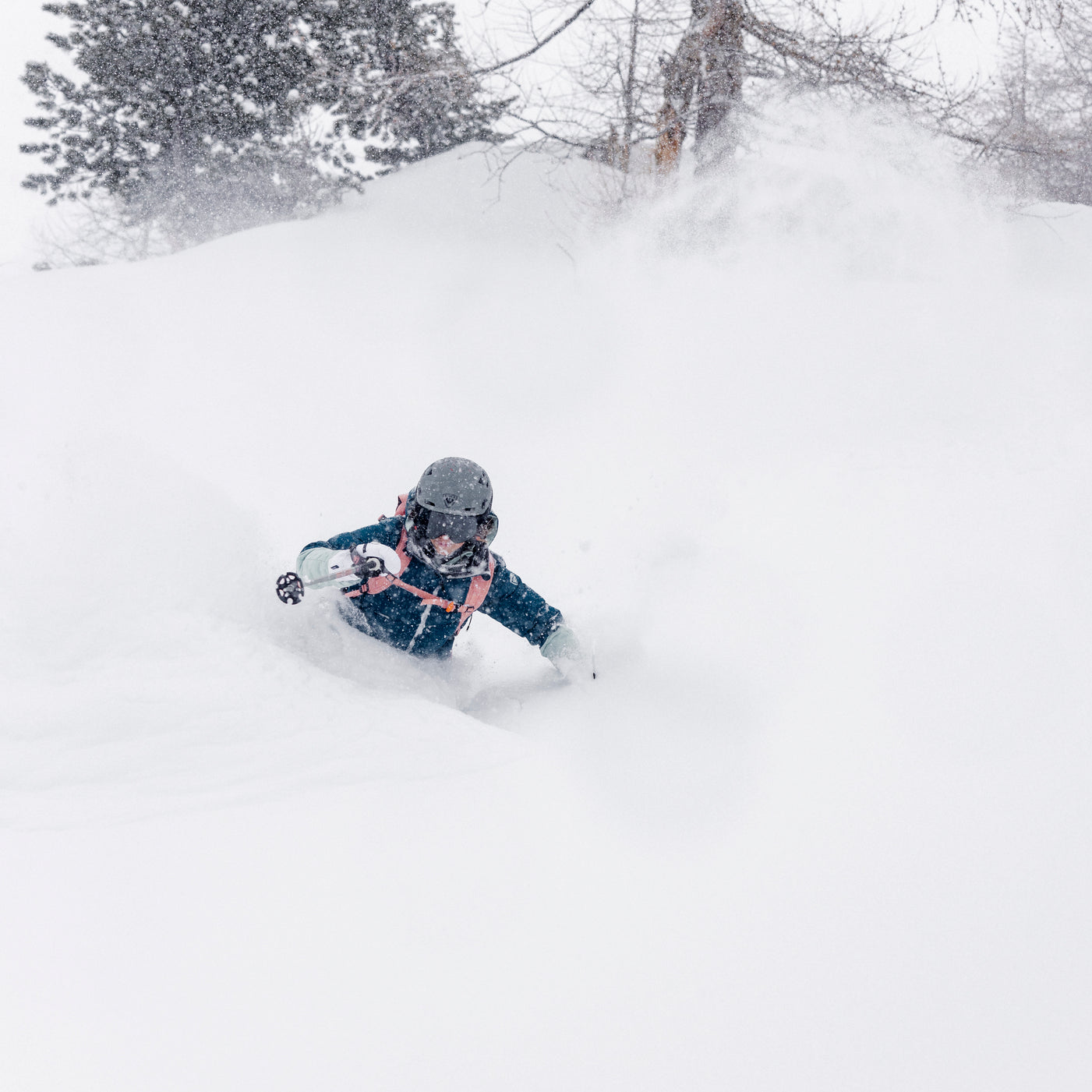 M3A6101_rossignol_FREE_louisgarnierphoto_hd-1401x2100-f8c845f8-dba5-461f-8324-69985d62a6ad.jpg