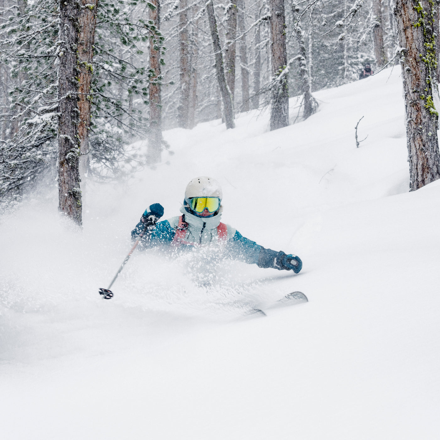 M3A6453_rossignol_FREE_louisgarnierphoto_hd-1401x2100-81049458-77a1-48c8-92ee-1fb222ff74c2.jpg