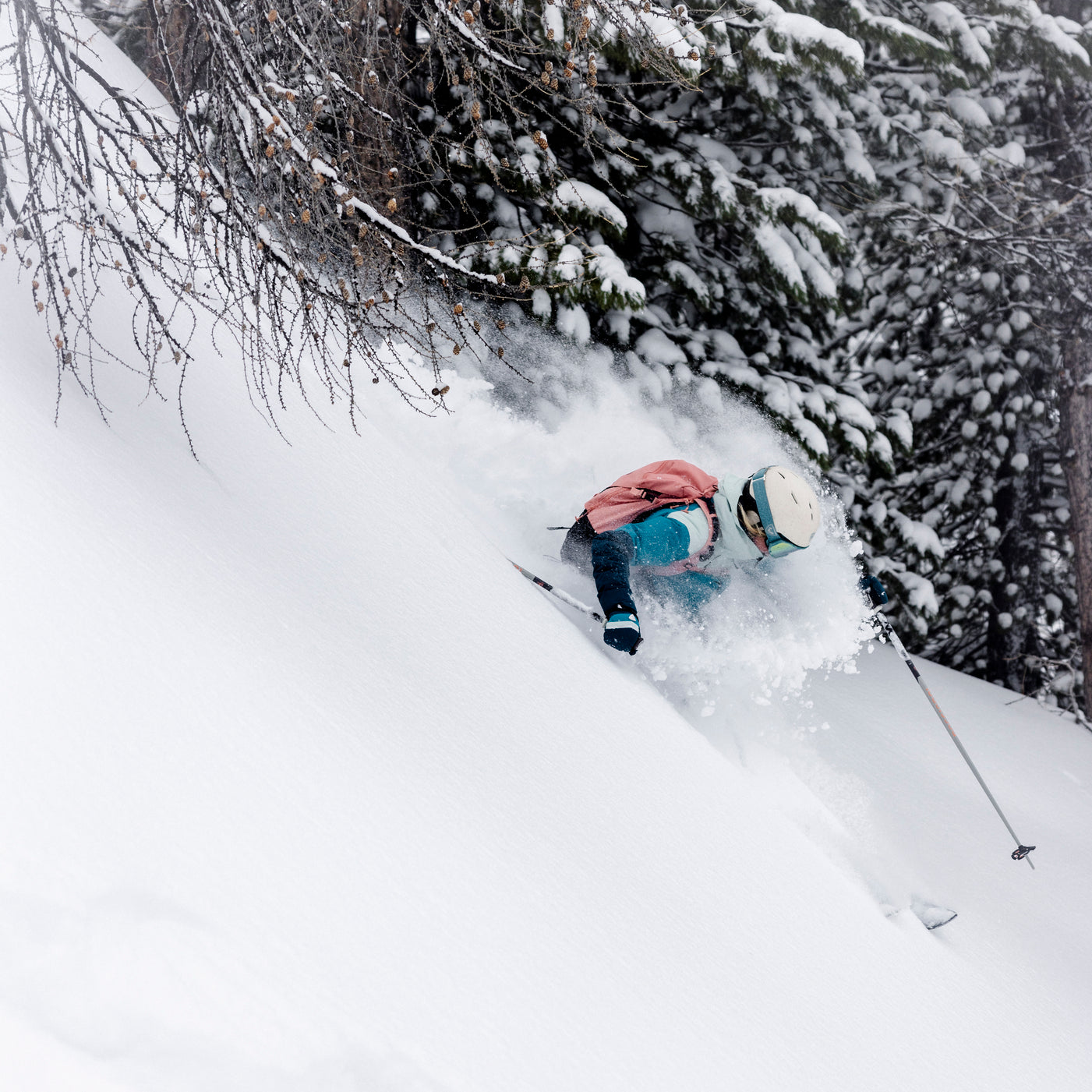 M3A6667_rossignol_FREE_louisgarnierphoto_hd-1401x2100-66086536-09d0-4a3b-8e18-3e0d0b145a68.jpg